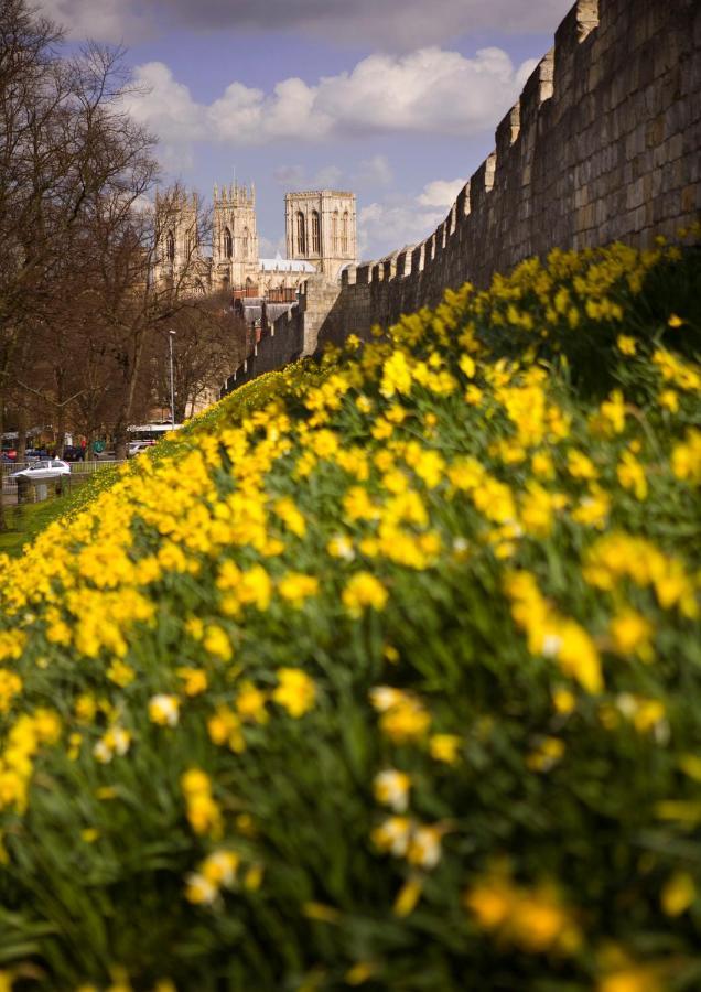 Shambles Suites In The Centre Of York, Sleeps 16 Luaran gambar